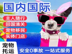 深圳宝安航空快递国际宠物托运 【国